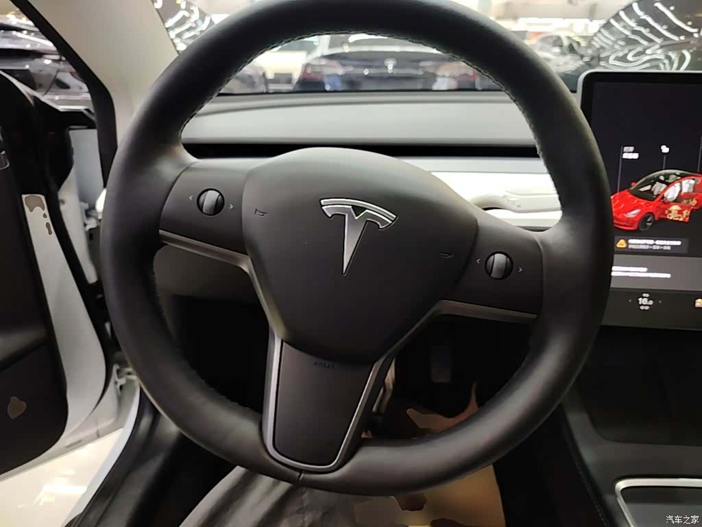 Tesla Model 3, 2021 11
