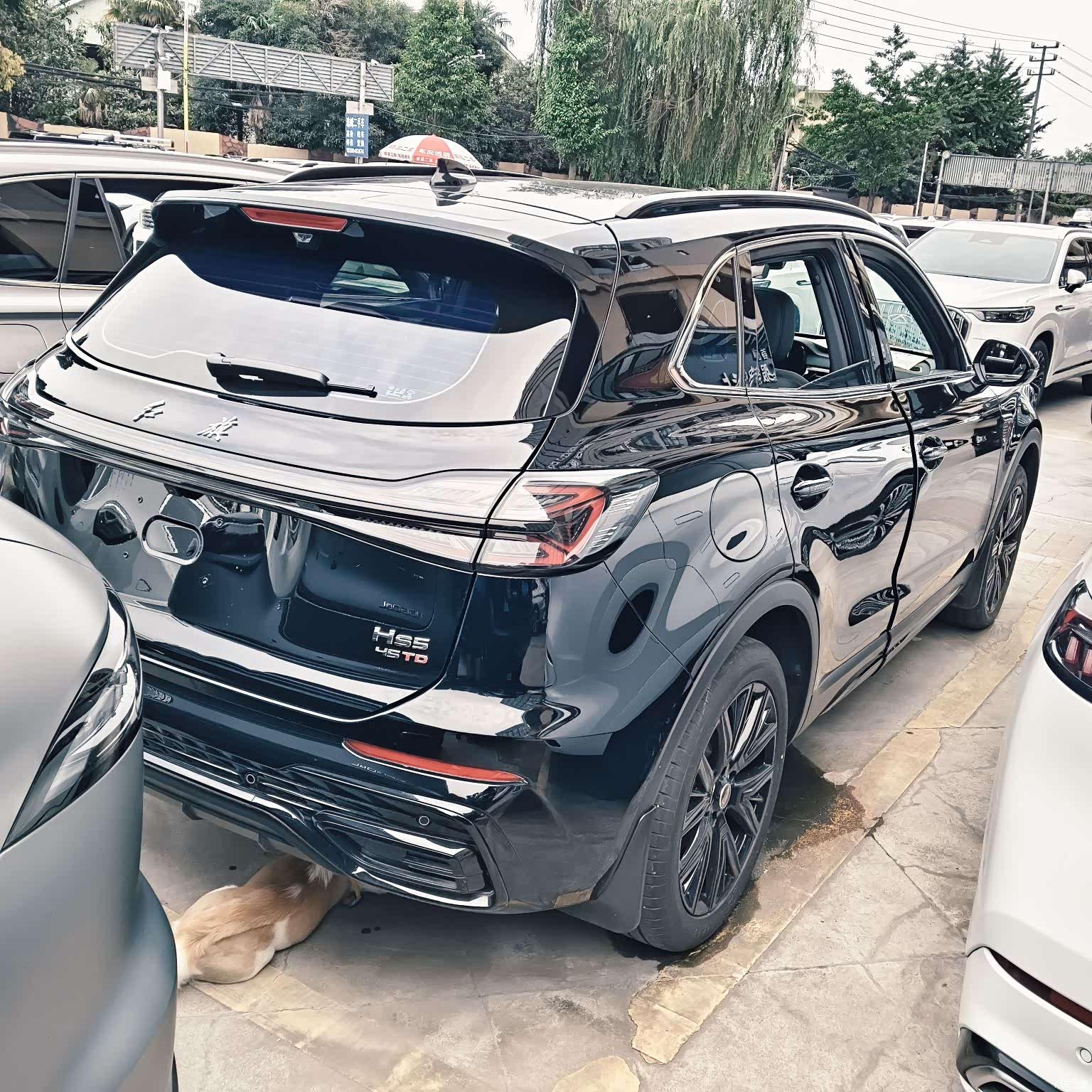 Hongqi HS5, 2025 14