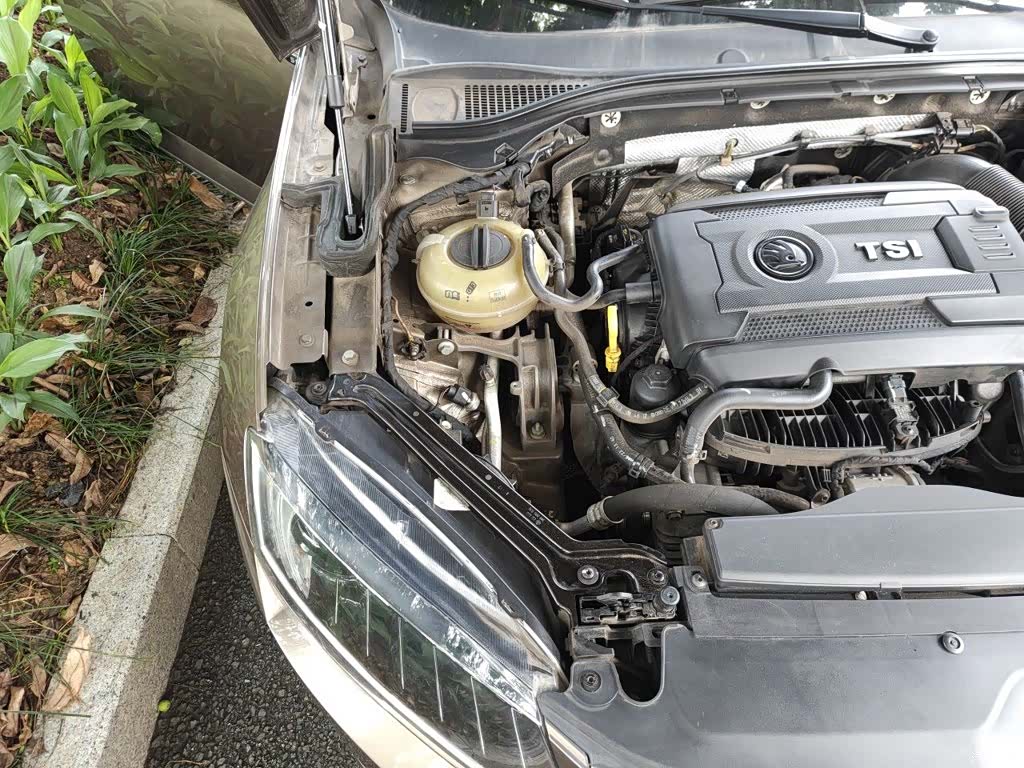 Skoda Superb, 2018 20