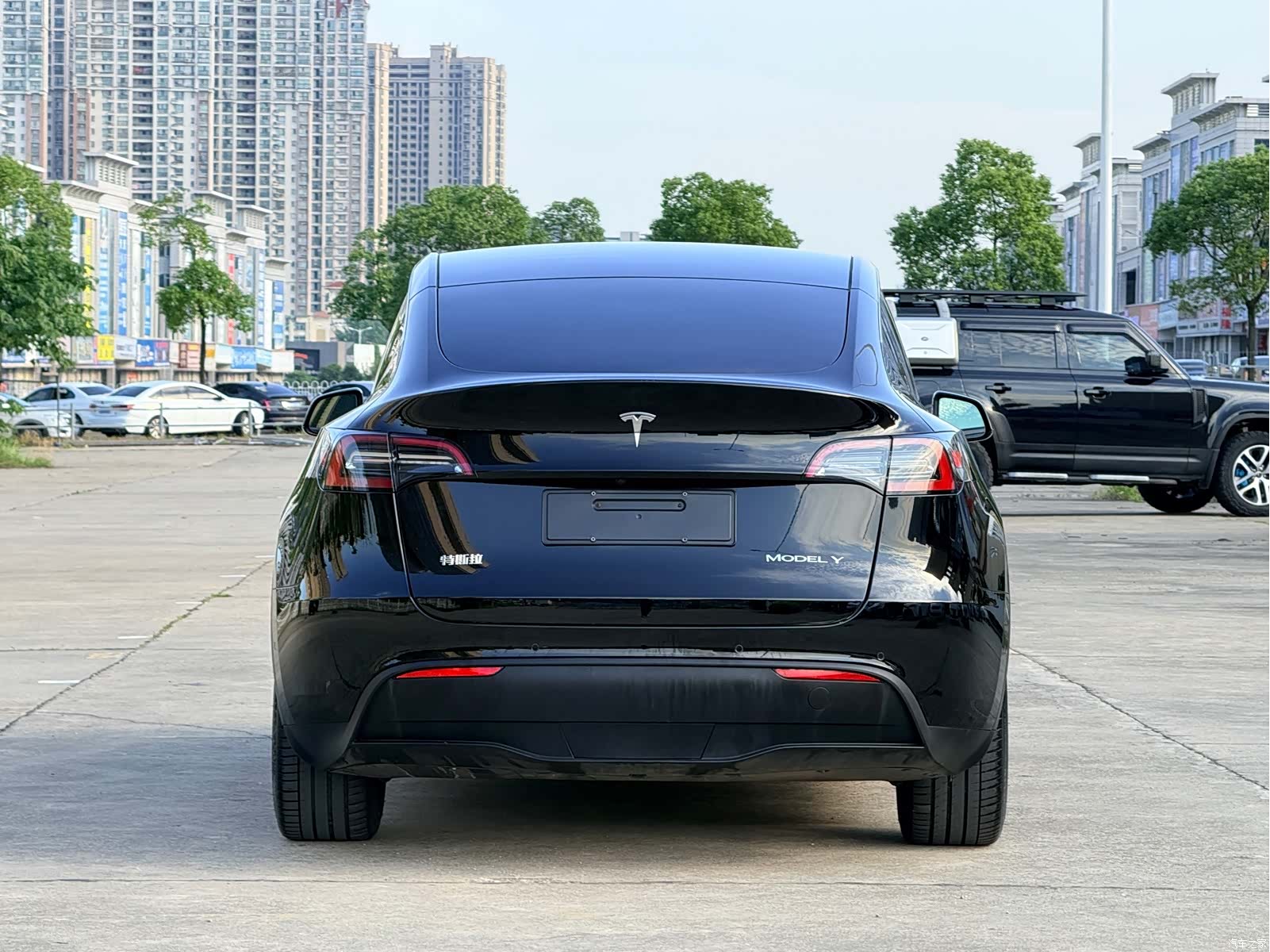 Tesla Model Y, 2021 все фото