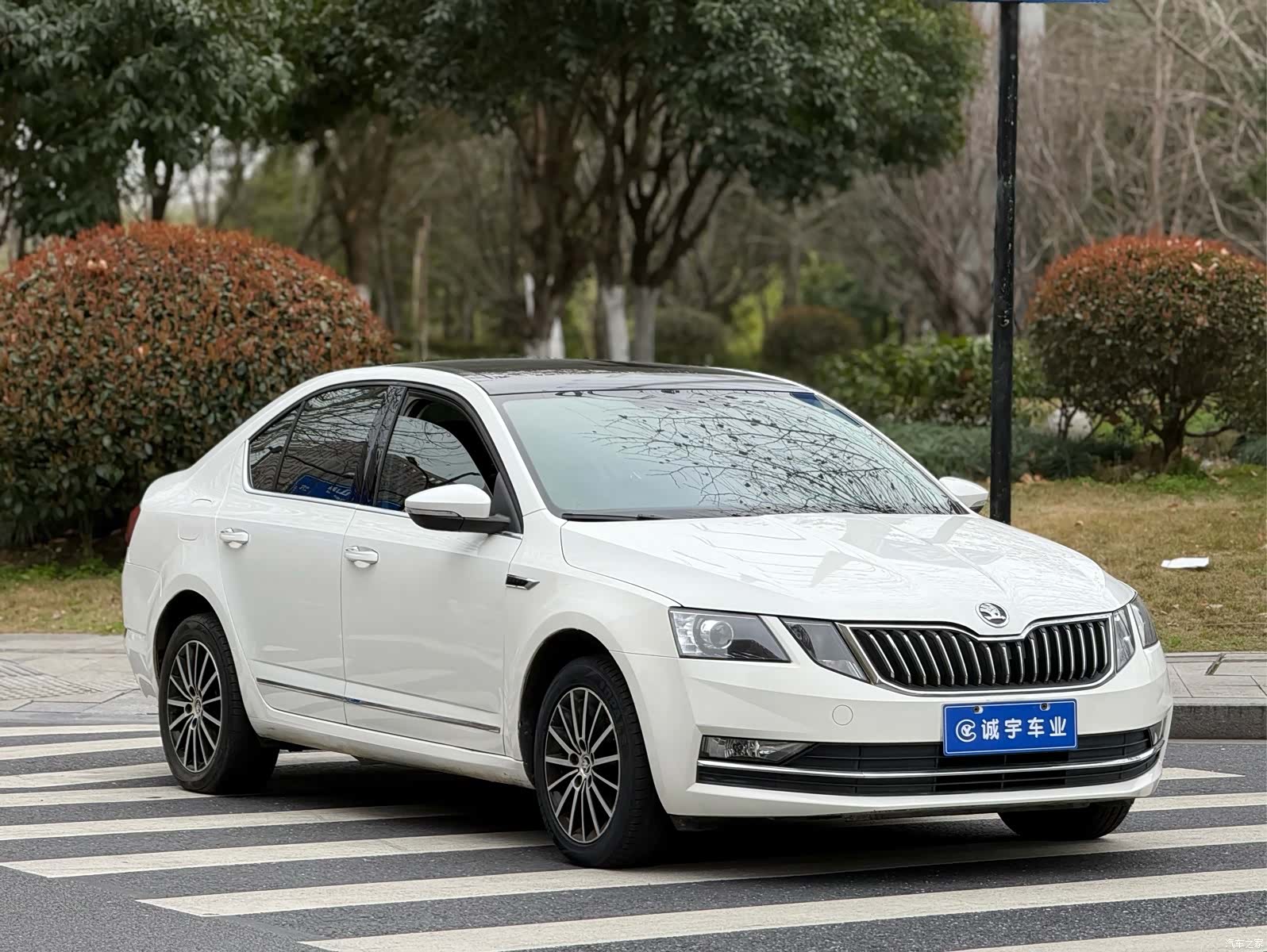 Skoda Octavia, 2018 3