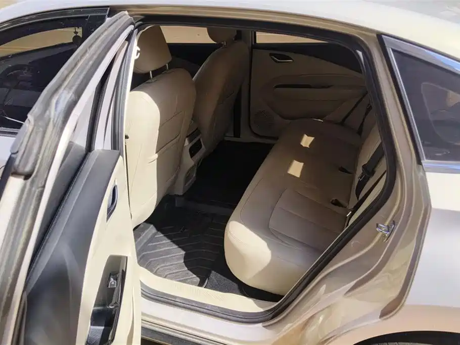 Wuling Wuling Starlight