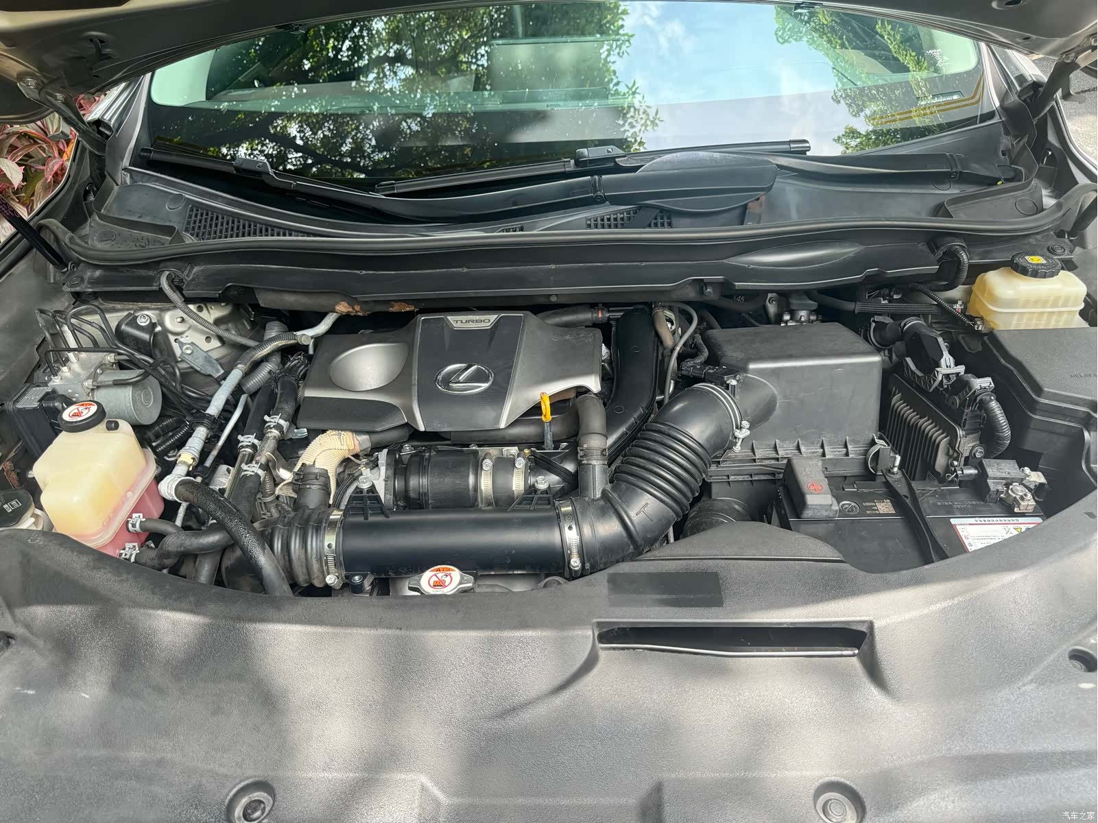 Lexus RX, 2017 15