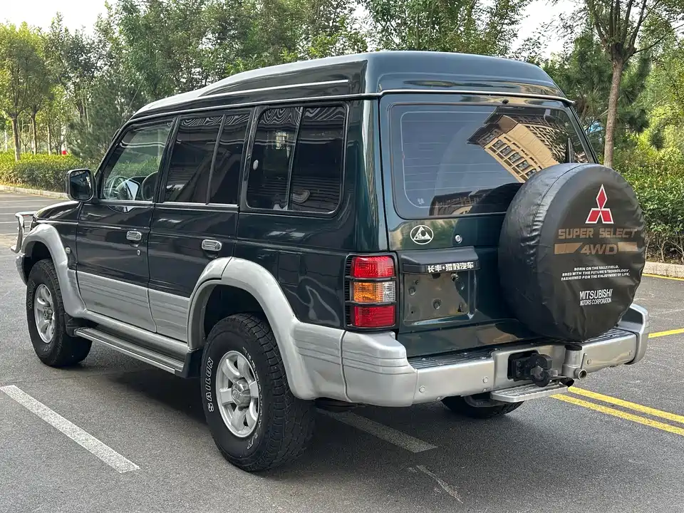 Leopaard Cheetah 6481