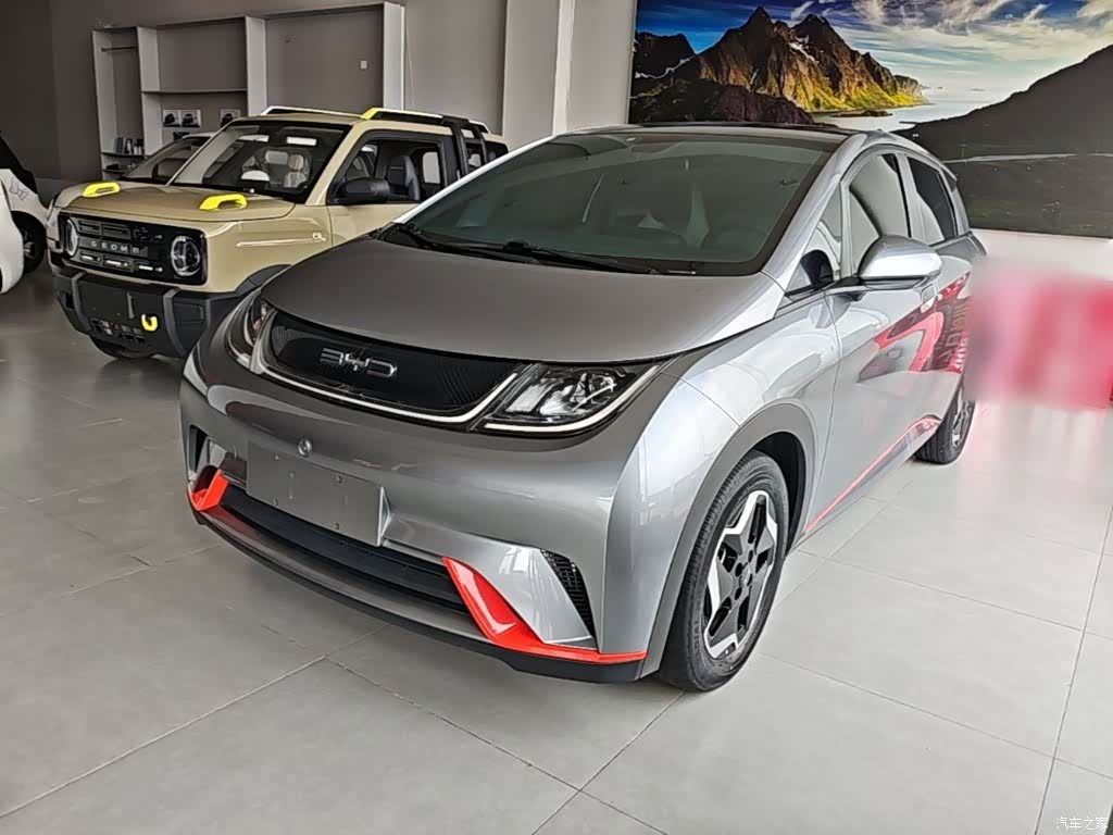 BYD Dolphin, 2023 1