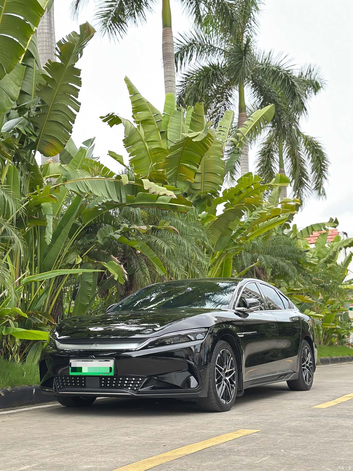 BYD Han, 2025 6