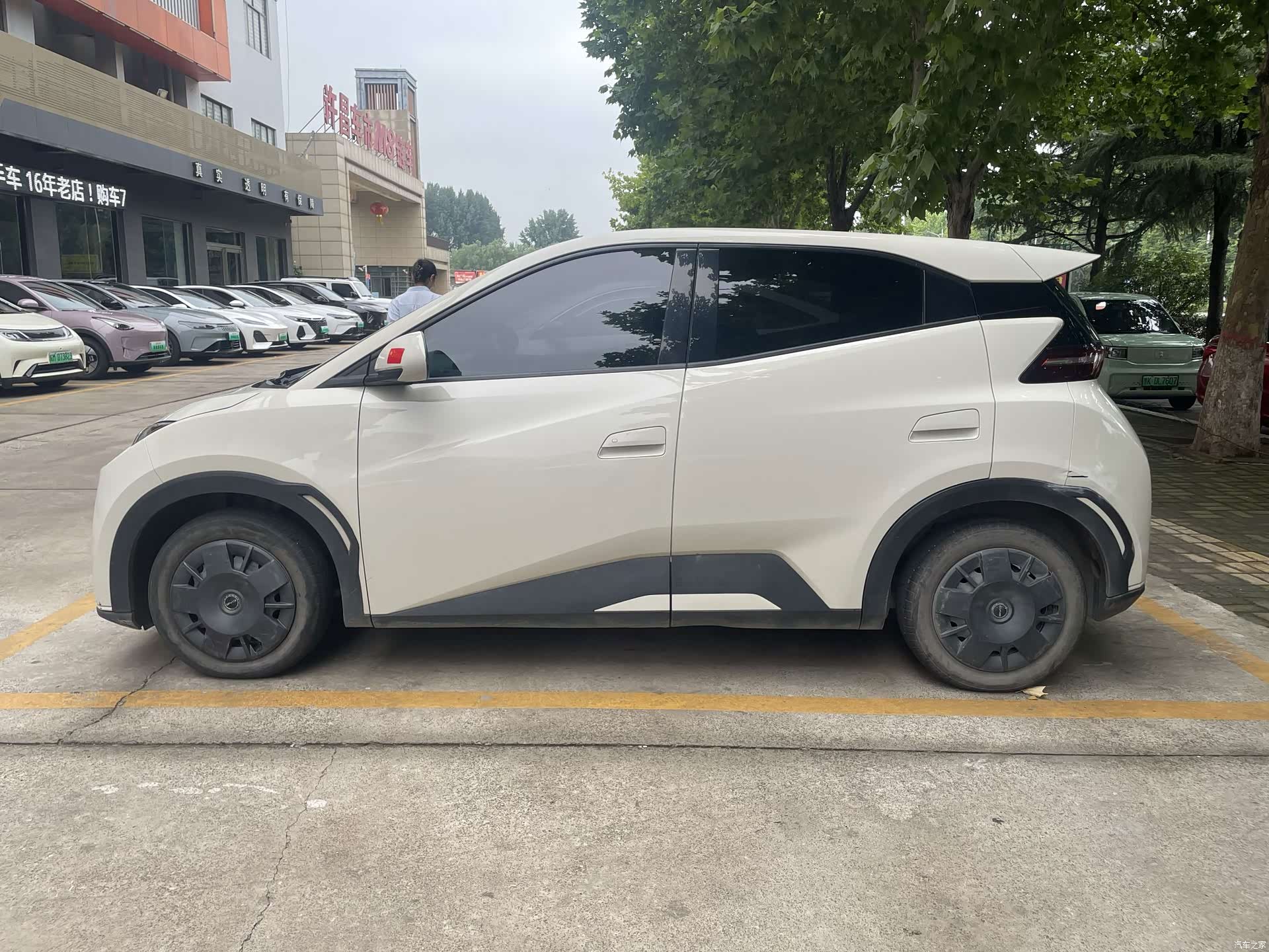 BYD Seagull, 2024 4
