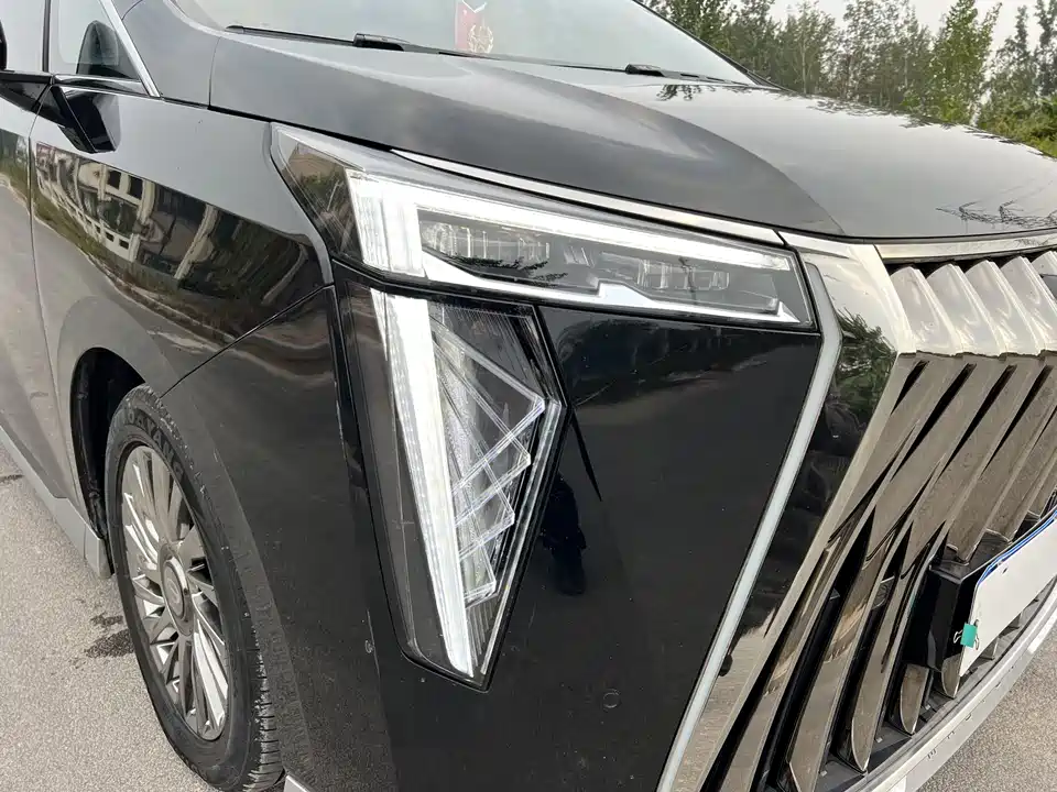 Trumpchi Trumpchi M8