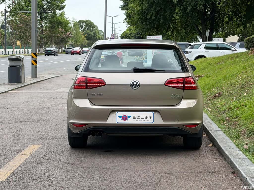 Volkswagen Golf, 2016 все фото