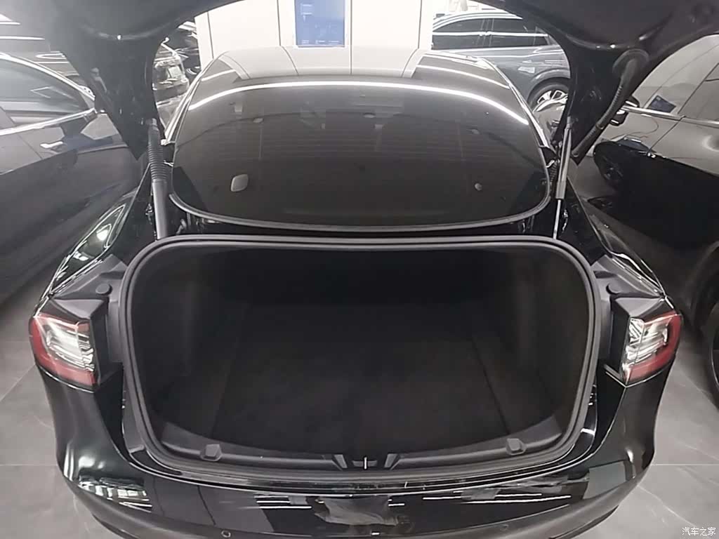 Tesla Model 3, 2021 19