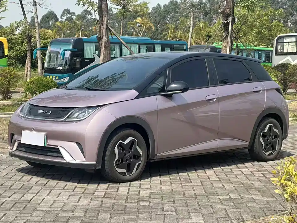 BYD dolphin
