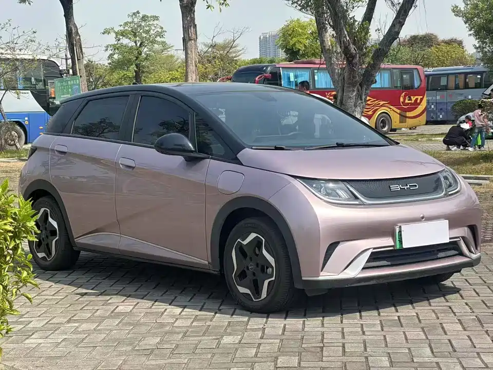 BYD dolphin