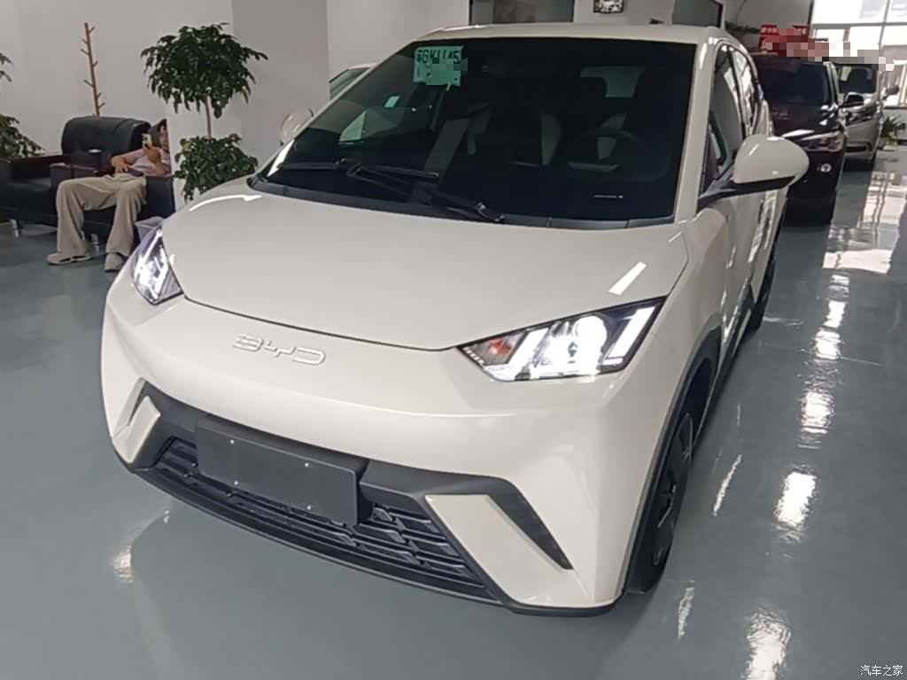 BYD Seagull, 2024 2