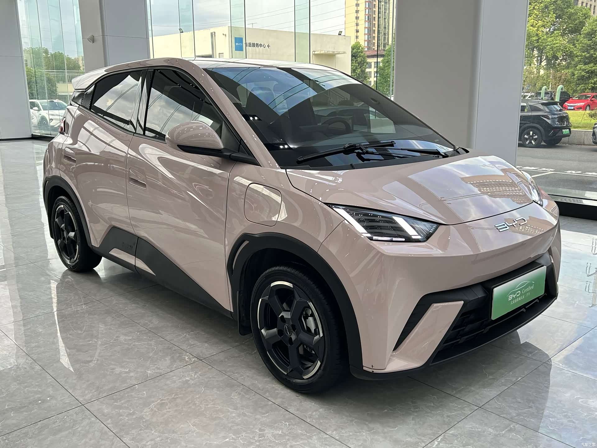BYD Seagull, 2024 3
