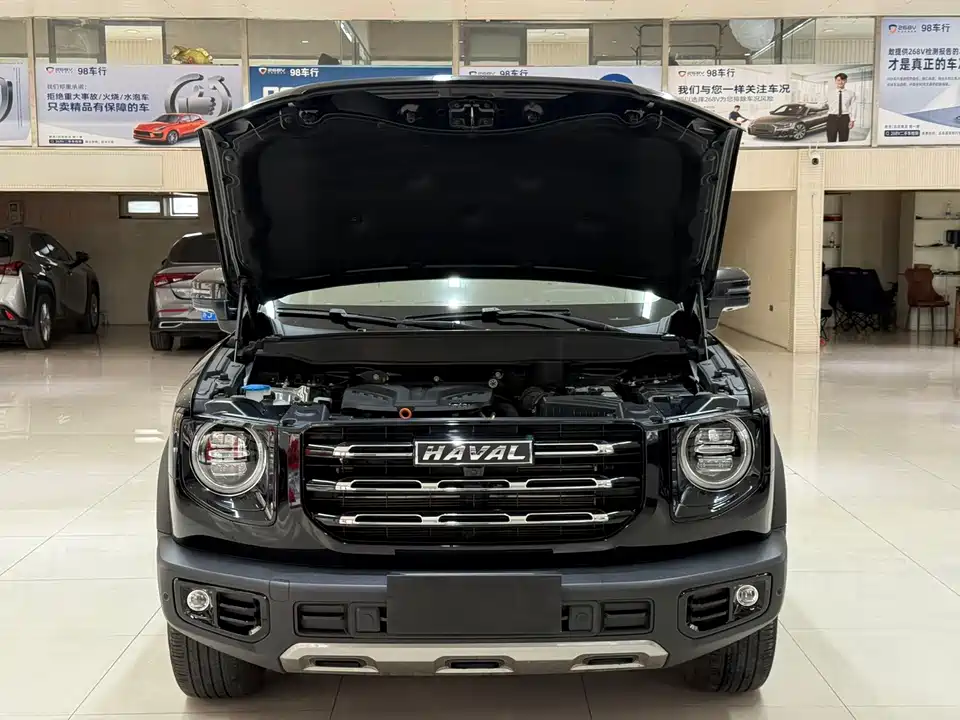 Haval Big dog