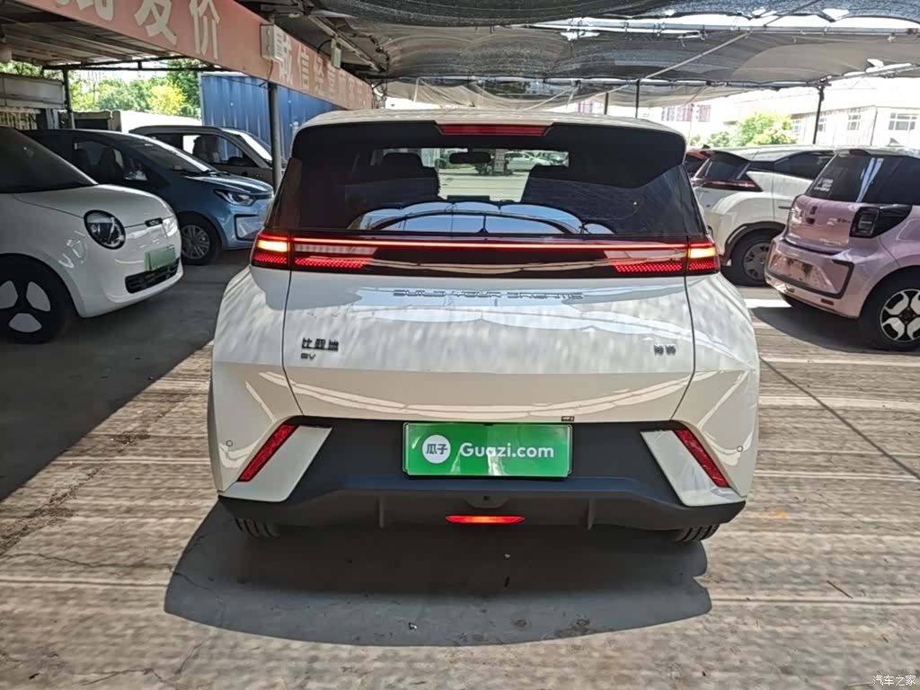 BYD Seagull, 2024 6