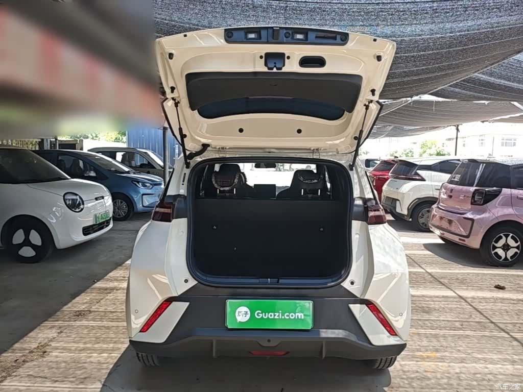 BYD Seagull, 2024 19