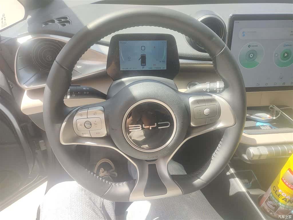 BYD Dolphin, 2023 11