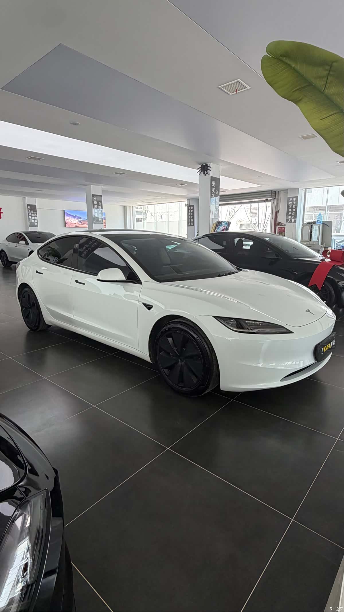 Tesla Model 3, 2025 3