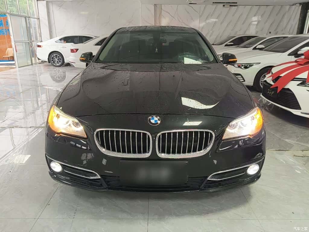 BMW 5 Series, 2015 3