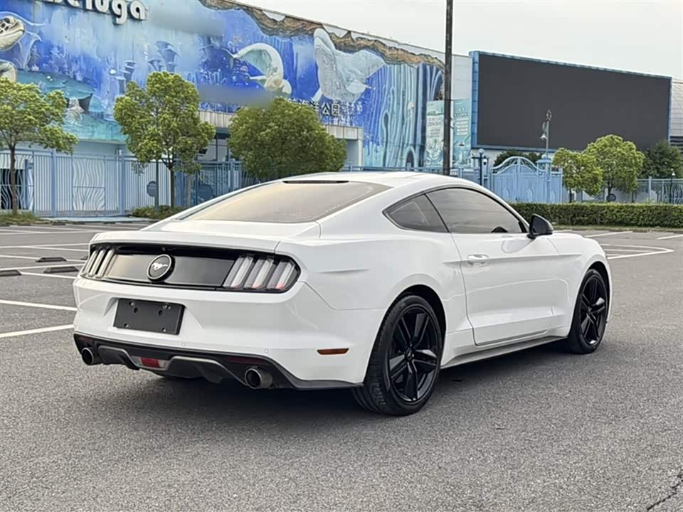 Ford Mustang Ford Mustang