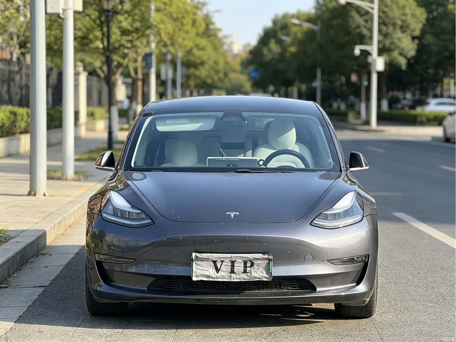 Tesla Model 3, 2019 2