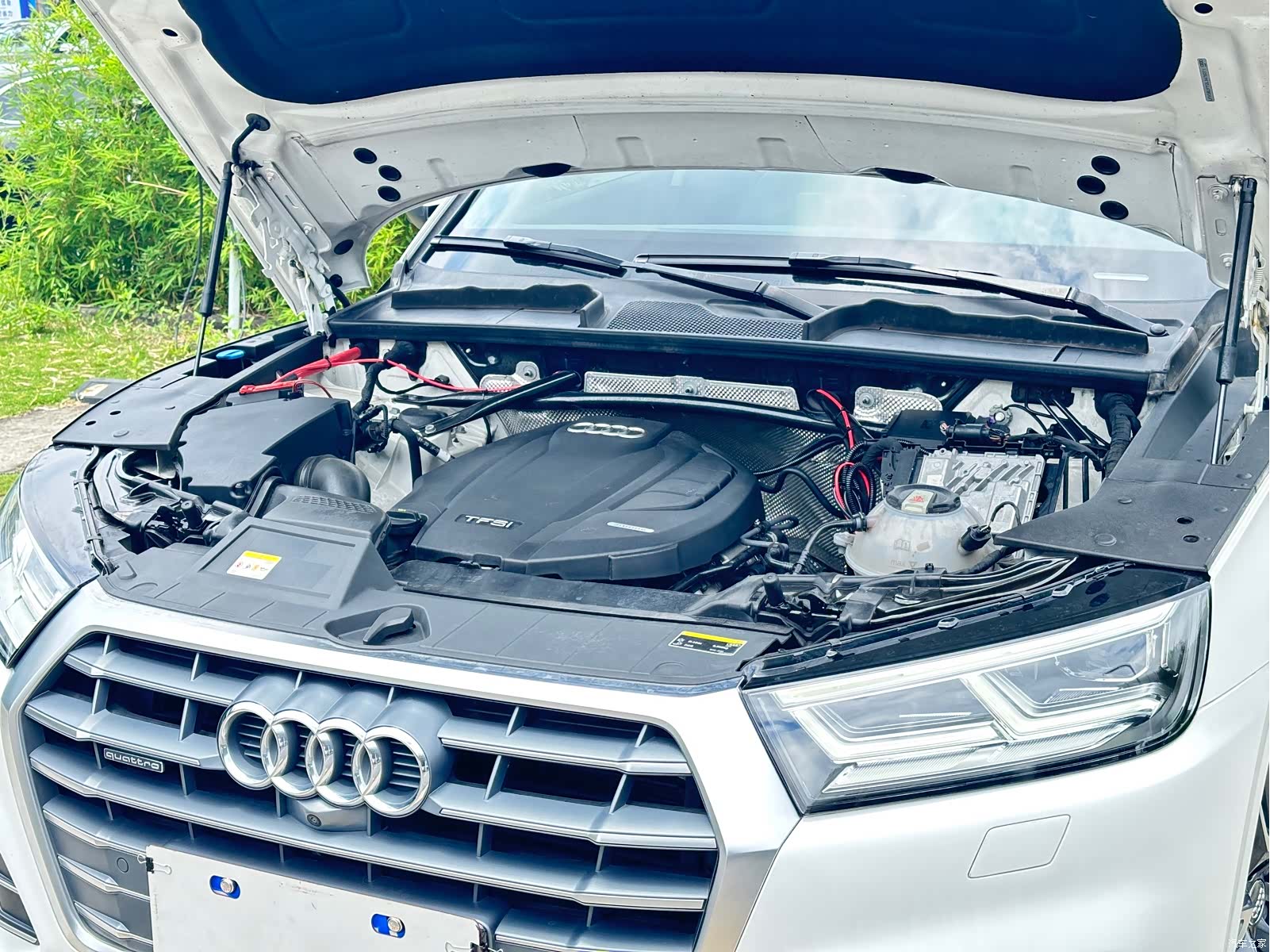 Audi Q5L, 2020 все фото