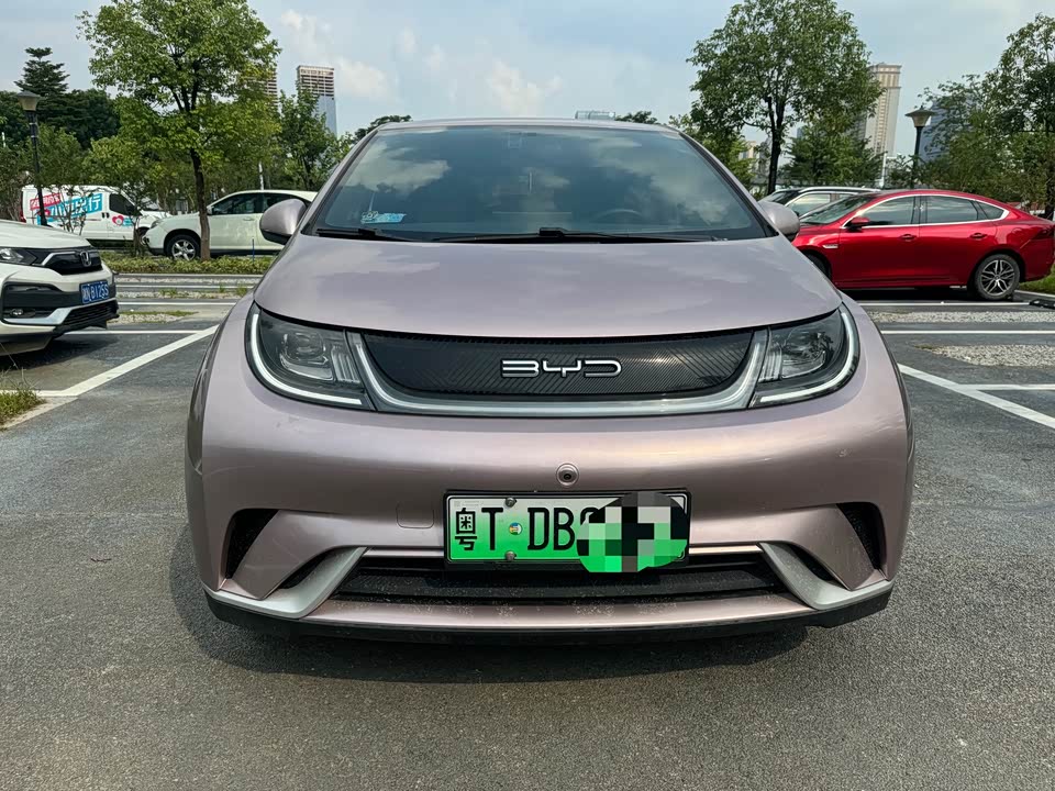 BYD dolphin