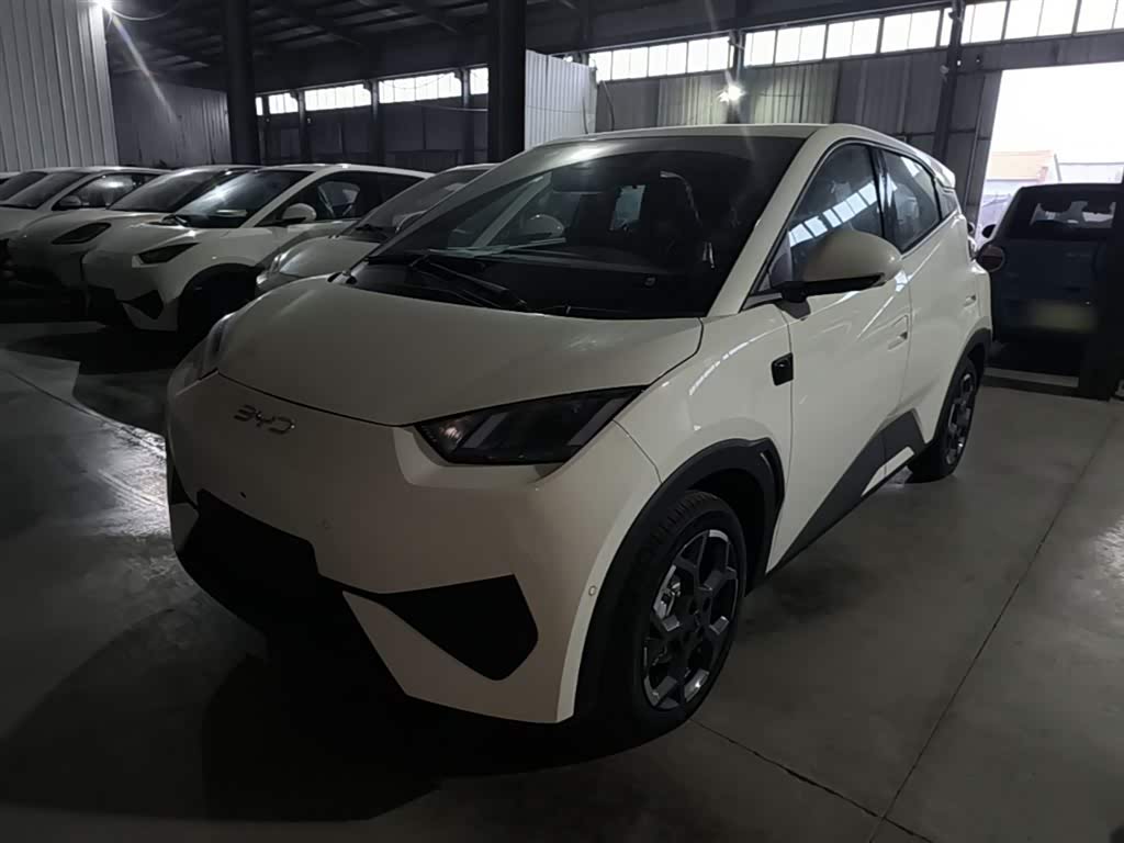 BYD Seagull