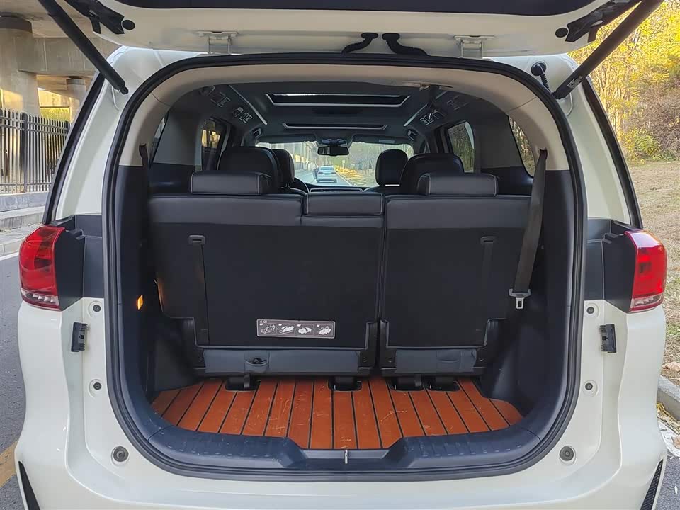 Trumpchi Trumpchi M8