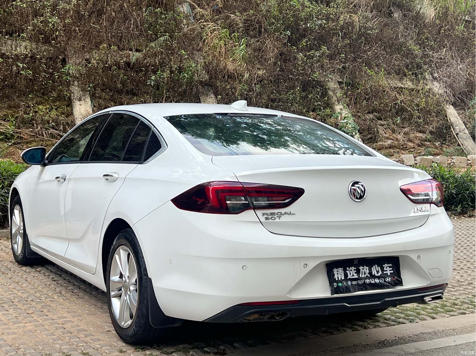 Buick Regal, 2020 8