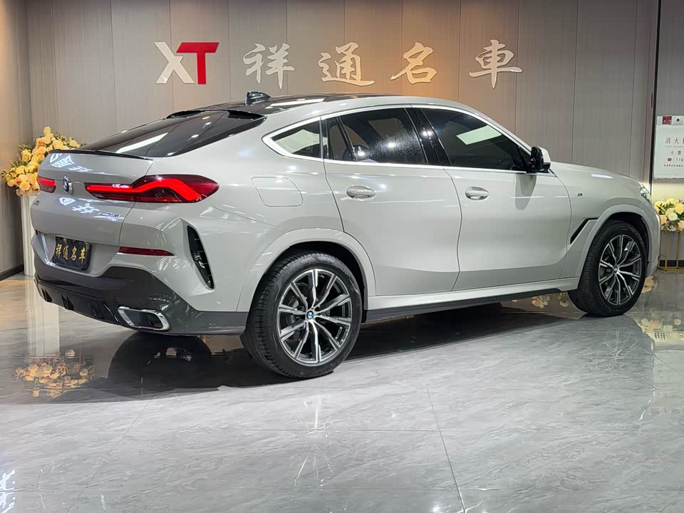 BMW X6