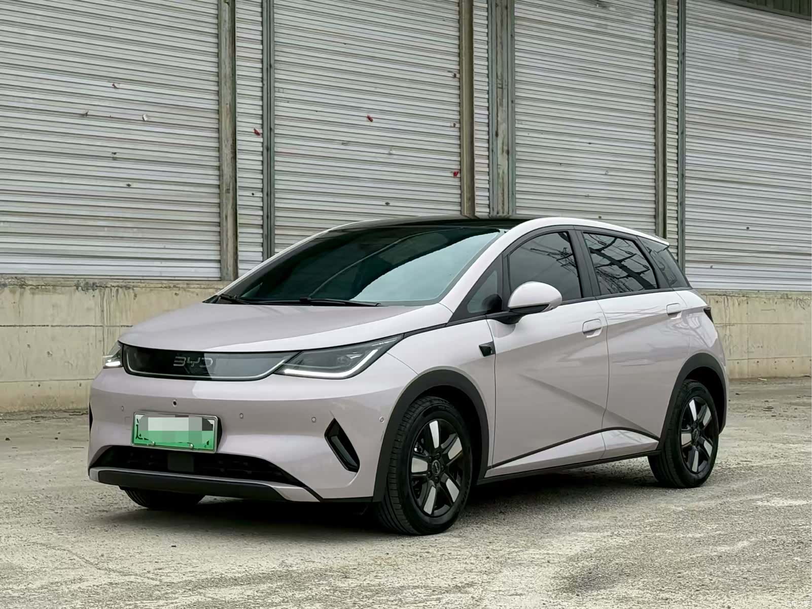 BYD Dolphin, 2025 1