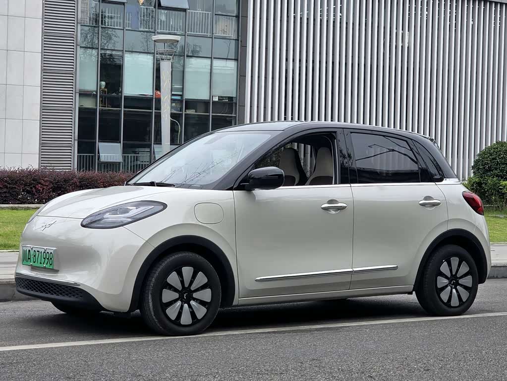 Wuling Binguo