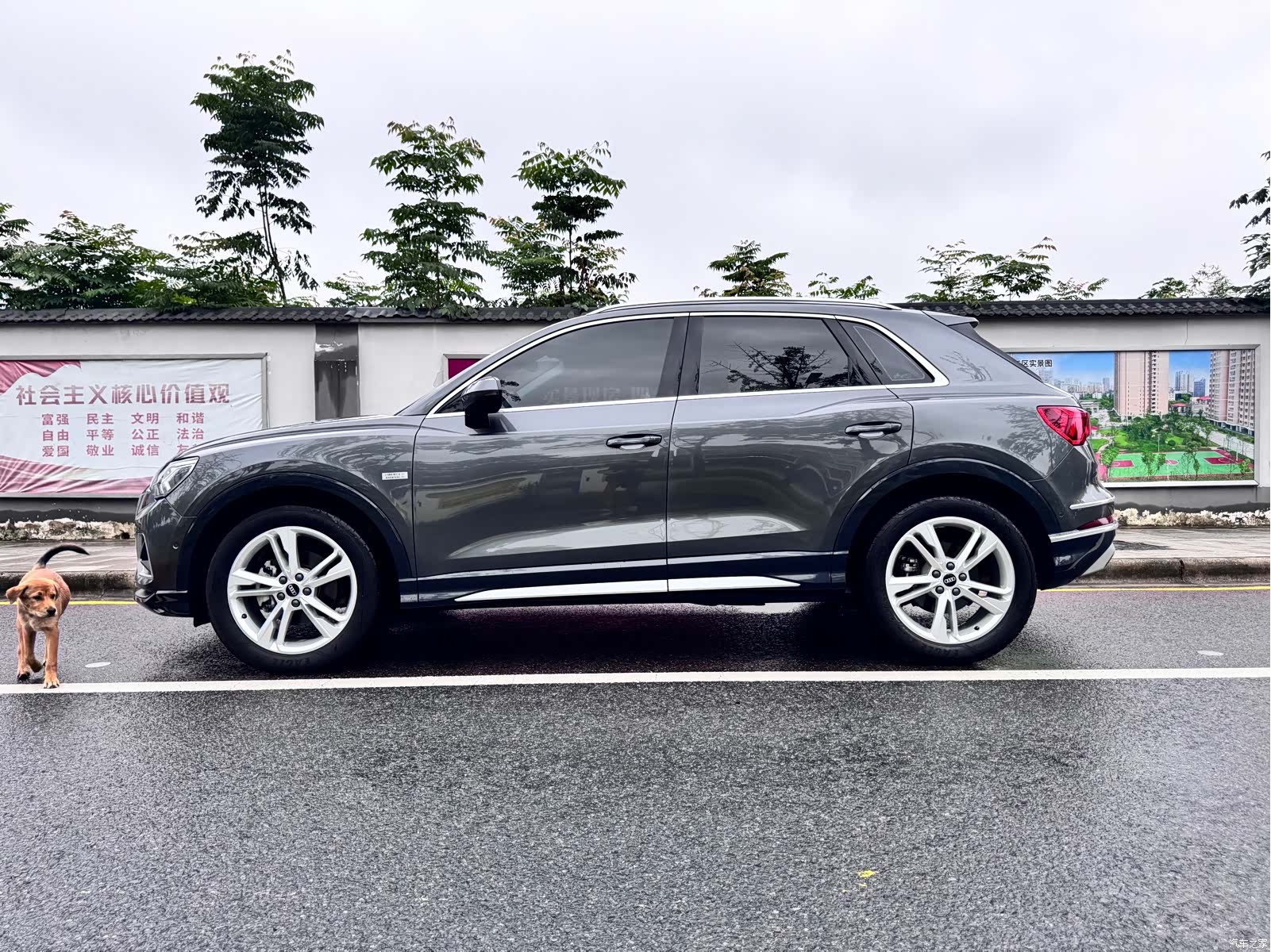 Audi Q3, 2022 8