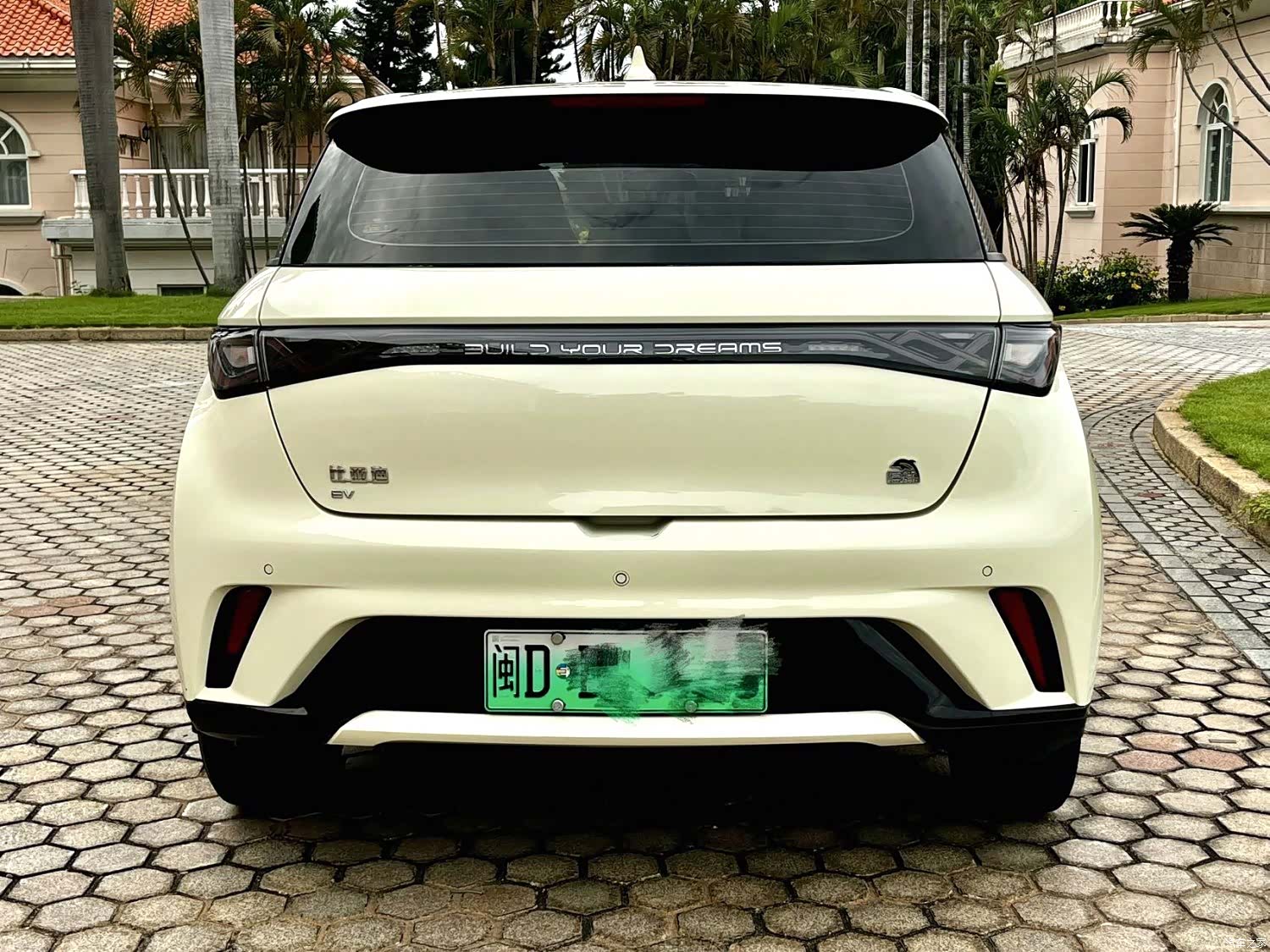 BYD Dolphin, 2023 все фото
