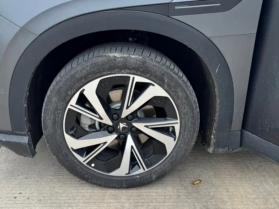 ARCFOX Polar Fox Alpha T5