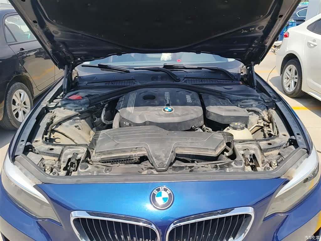 BMW 2 Series, 2016 20
