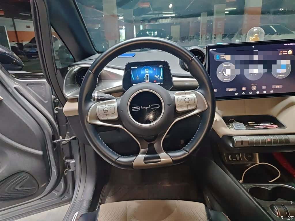 BYD Dolphin, 2024 3