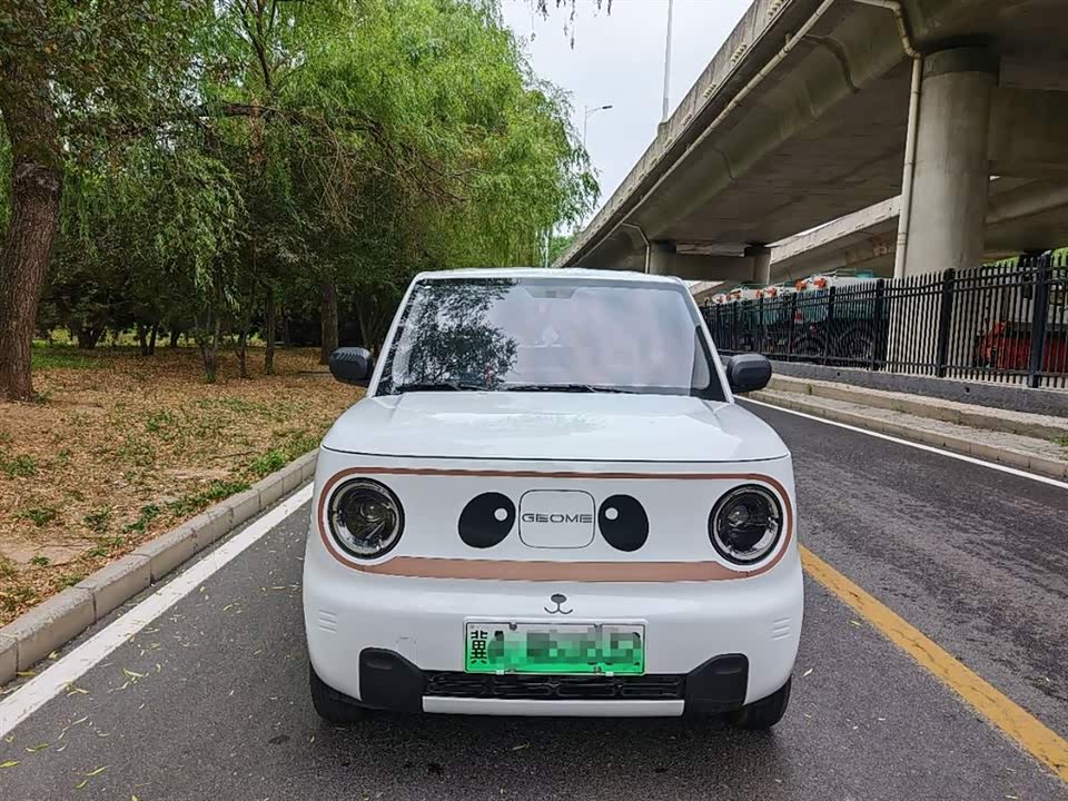 Geely Galaxy panda Geely Galaxy panda