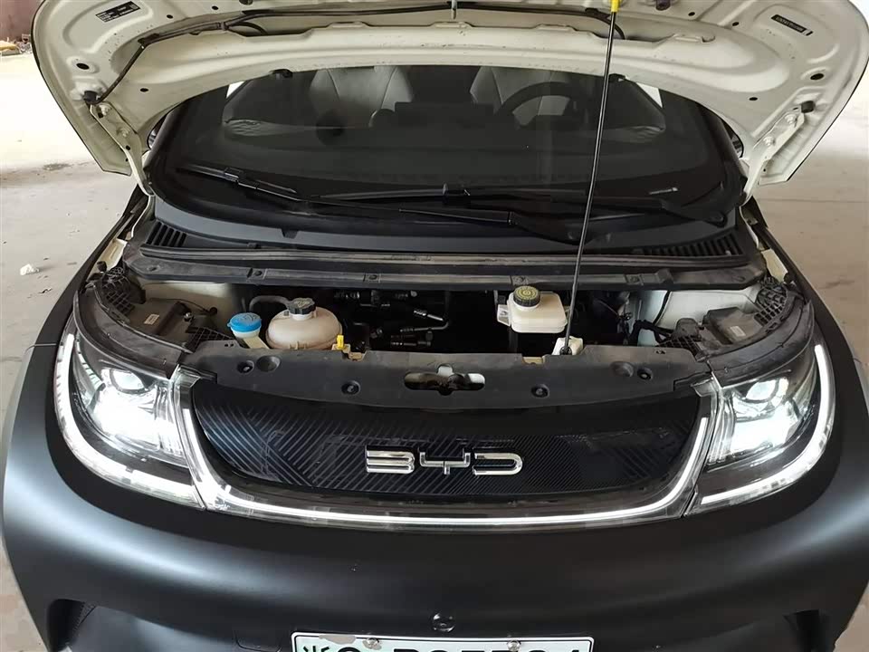 BYD dolphin