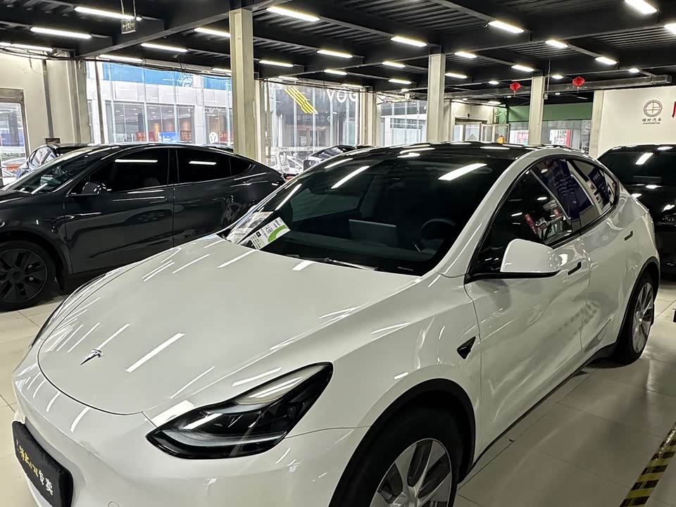 Tesla Model Y Tesla Model Y