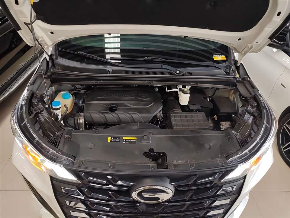 Trumpchi Trumpchi M6