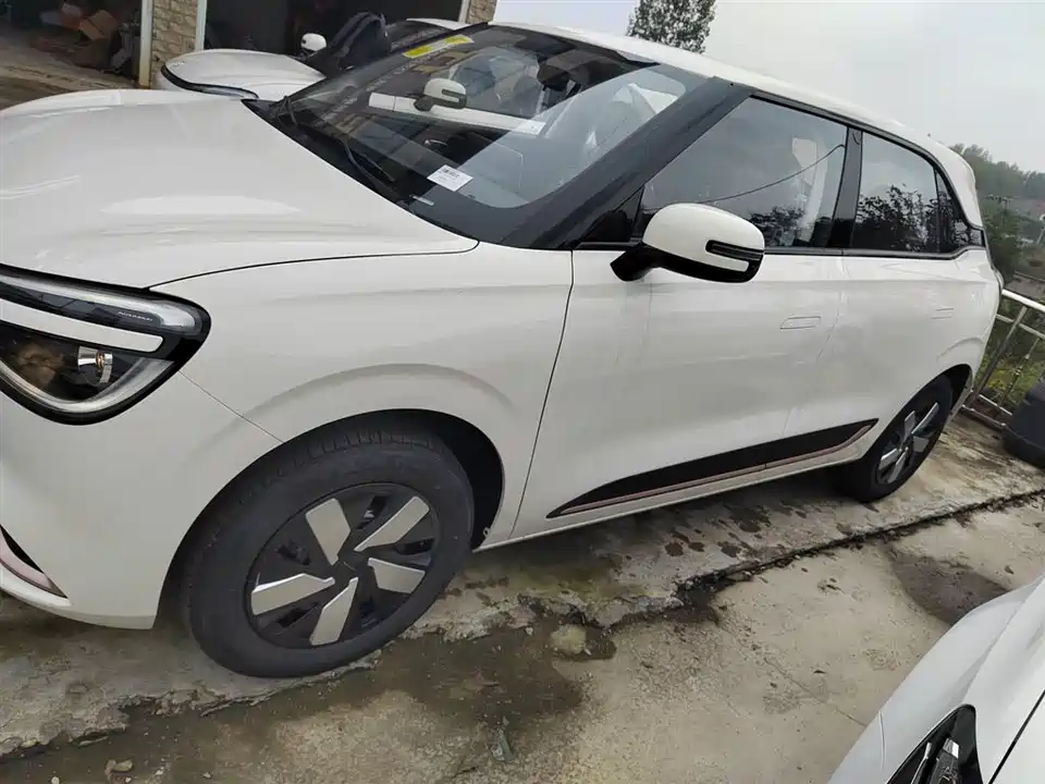 Dongfeng Nammi Nano 01