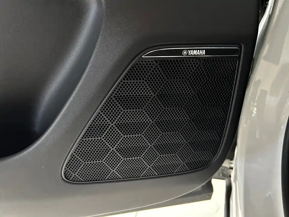 Trumpchi Trumpchi E9