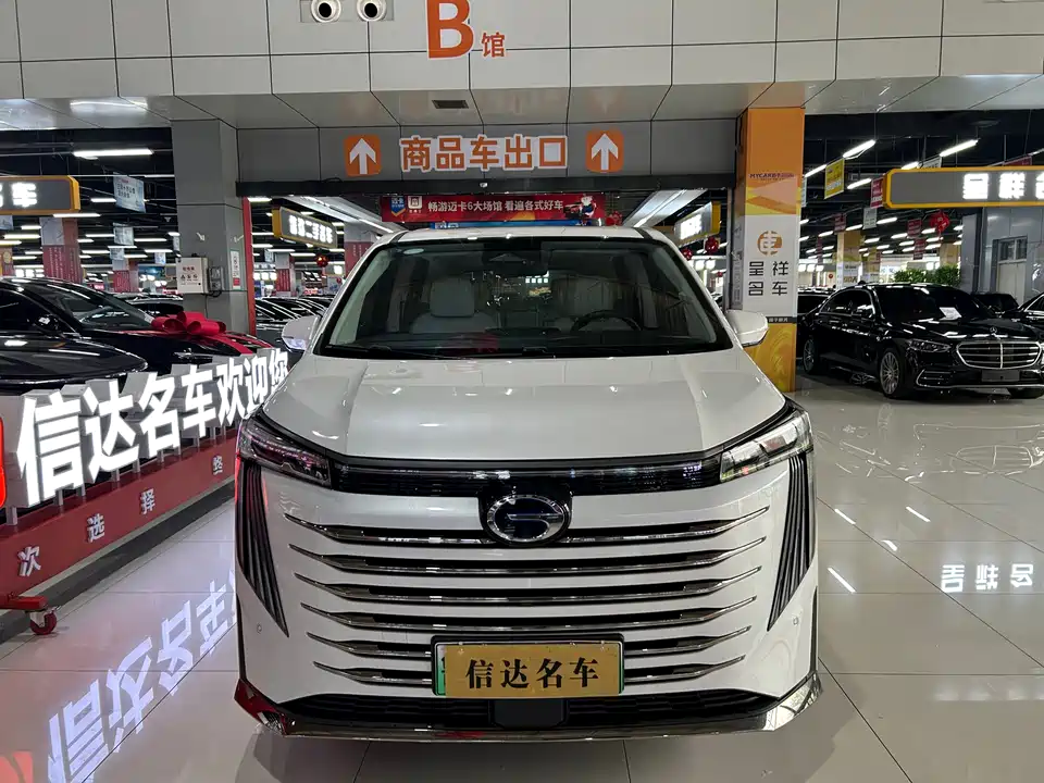 Trumpchi Trumpchi E9