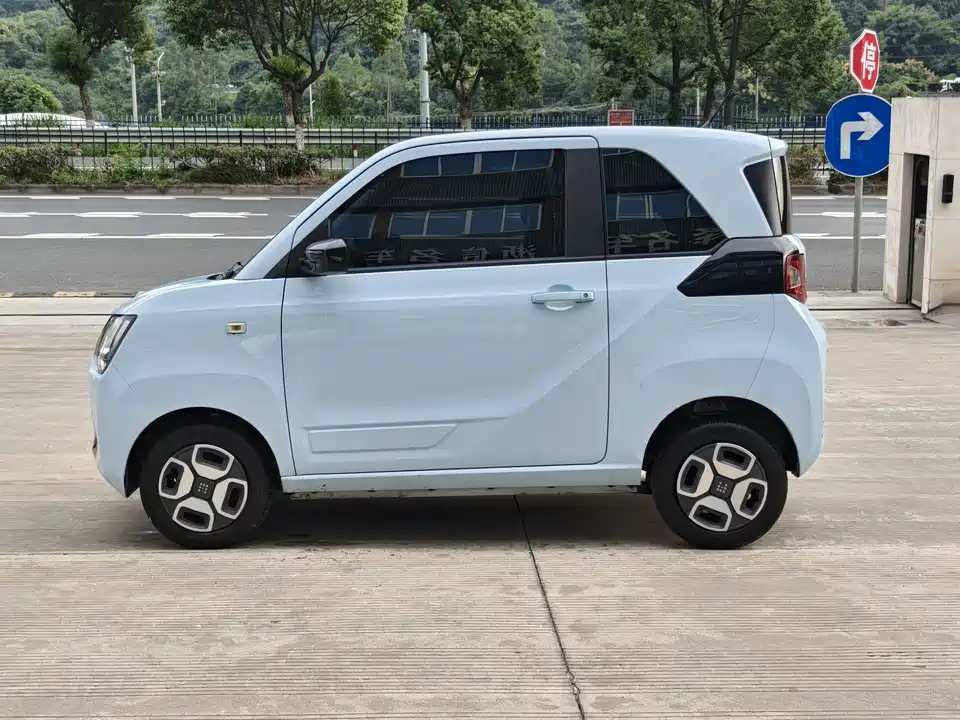 Fengon Scenery MINIEV