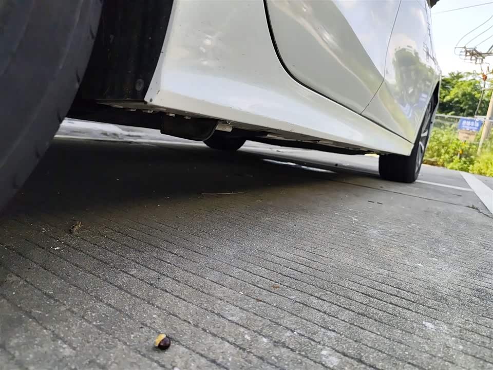 Honda Style Honda Style