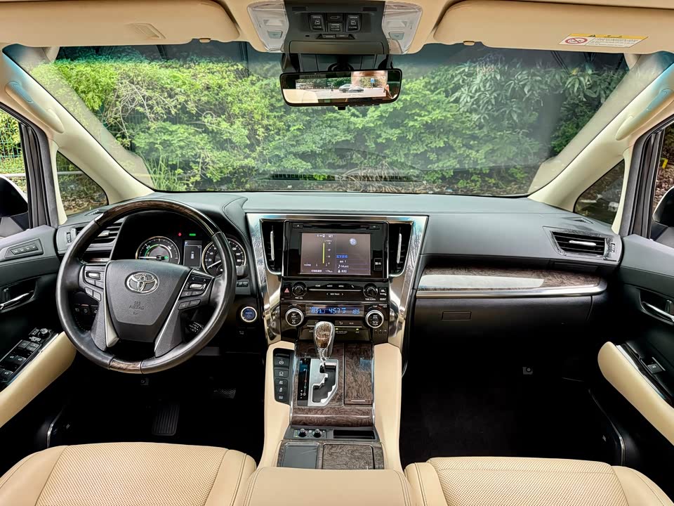 Toyota Elfa