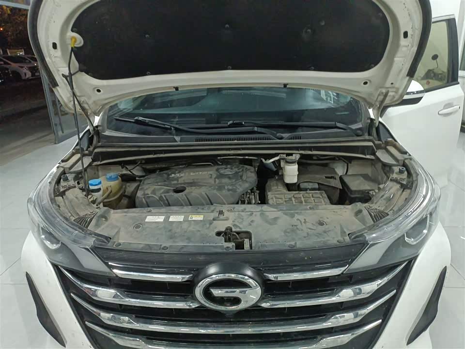 Trumpchi Trumpchi M6